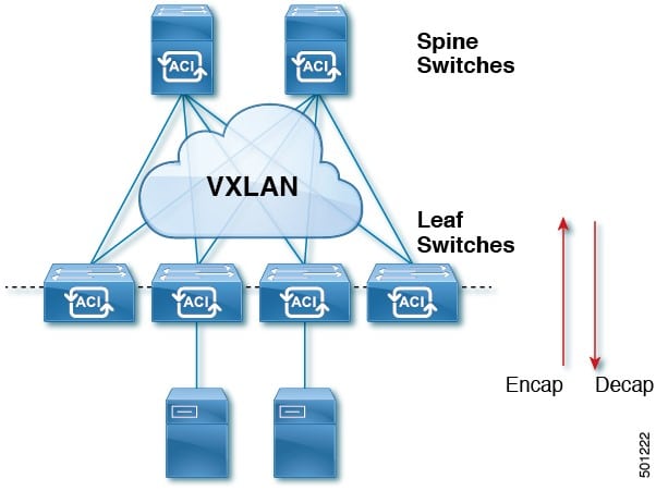 Cisco ACI Single Fabric