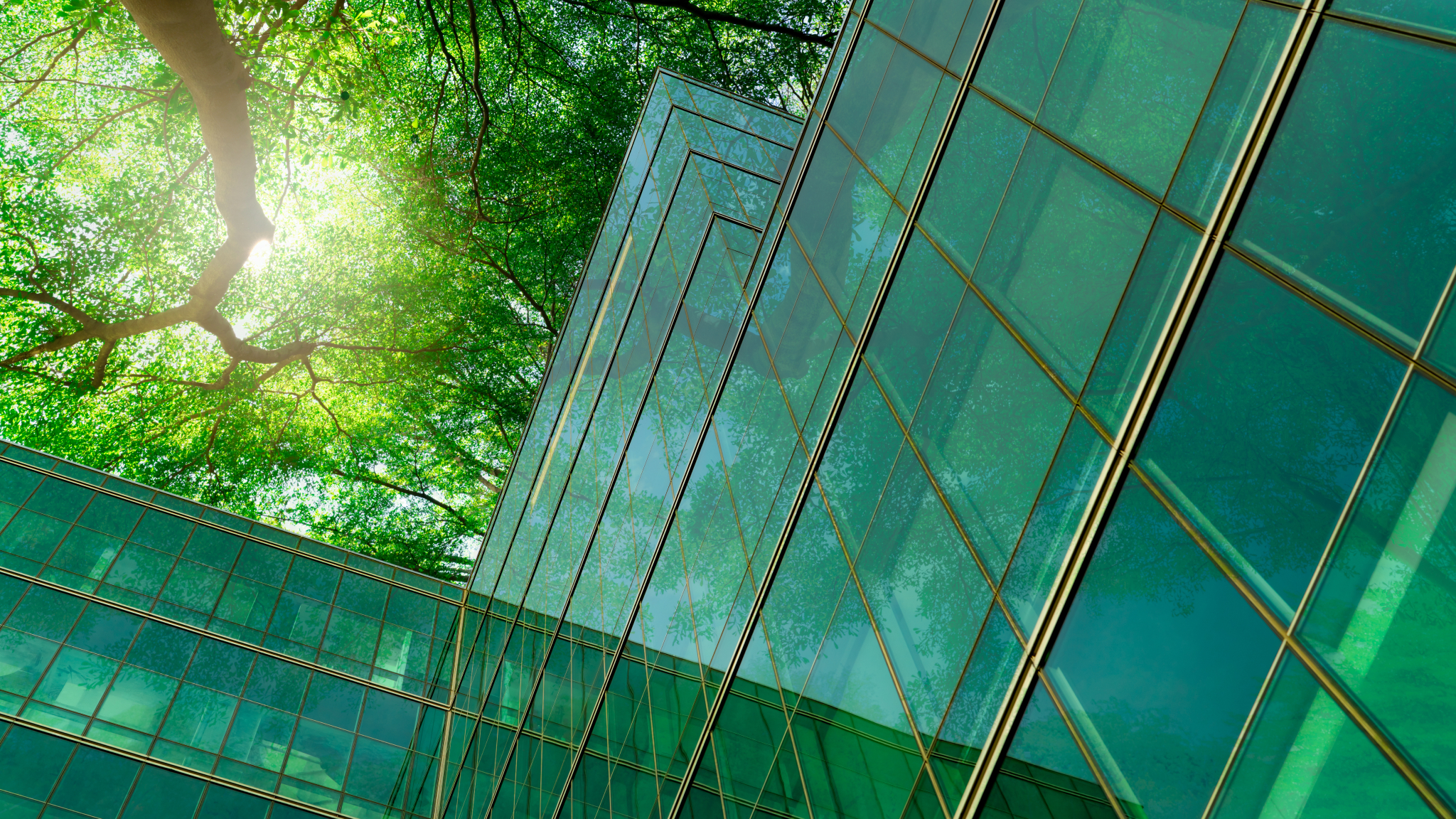 Collaborative Workplaces & Smart Building